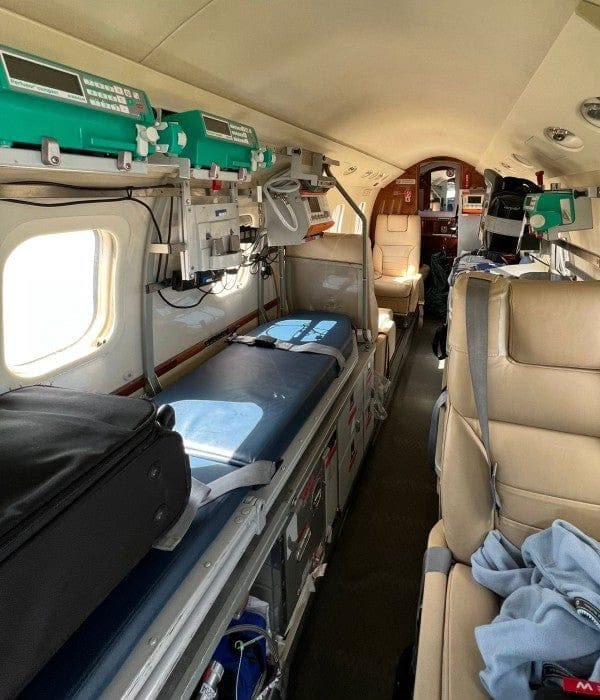 Neonatal care planning visual